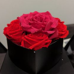 Preserve Real Roses Gift Box With Chocolate