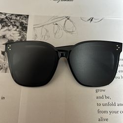 Her 01 gentle monster Sunglasses