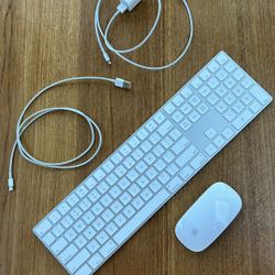 Apple Magic Keyboard & Mouse