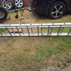 Ladders 24, 20, 26, 12 and more