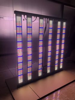 4*6 toplights
