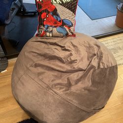 Bean Bag And Pillow 
