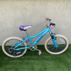 Youth Bike - 20 inch Girl’s Bike -Delivery for a Fee -See My Items