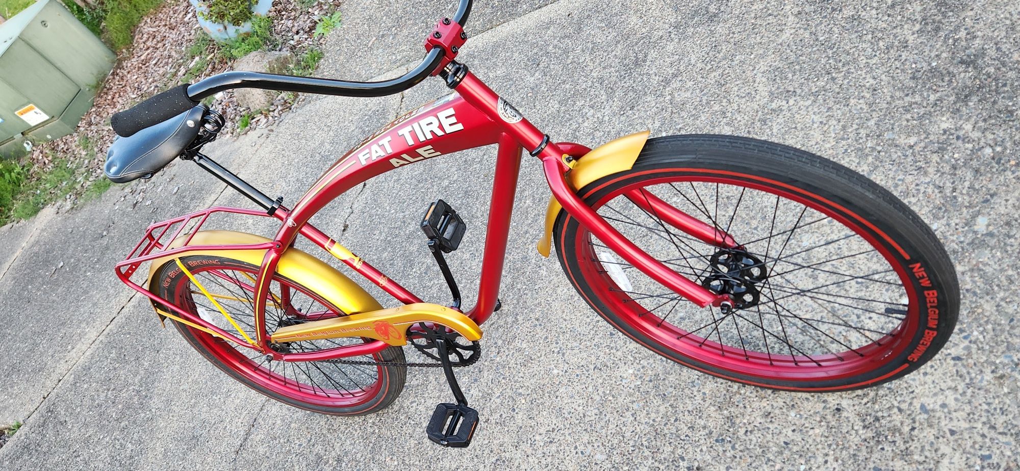 Cruiser Bike (Rare)