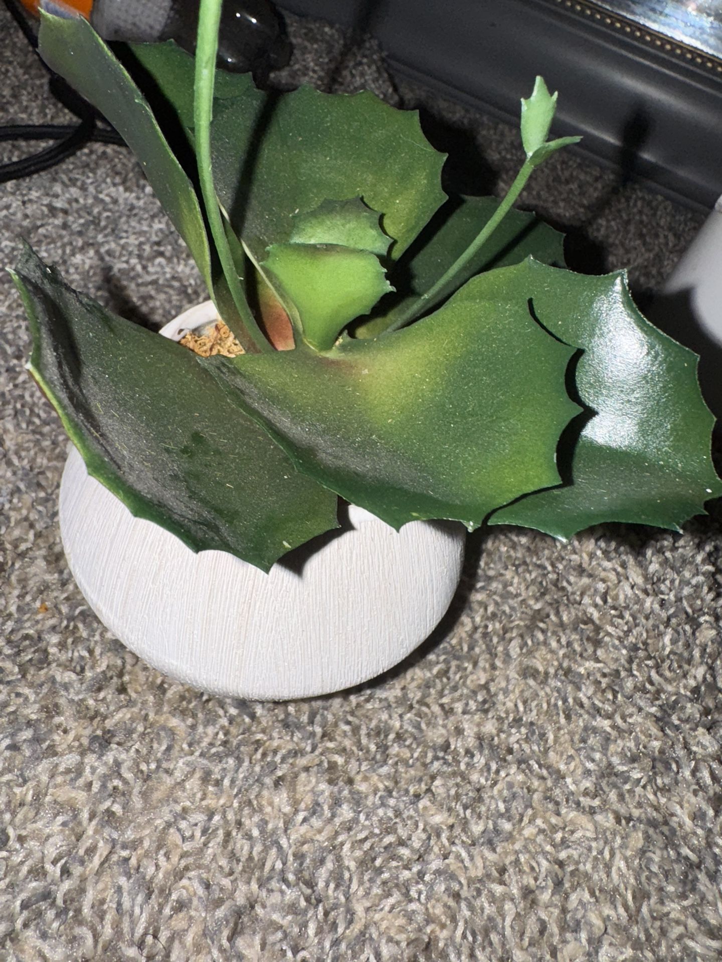 Fake Plant