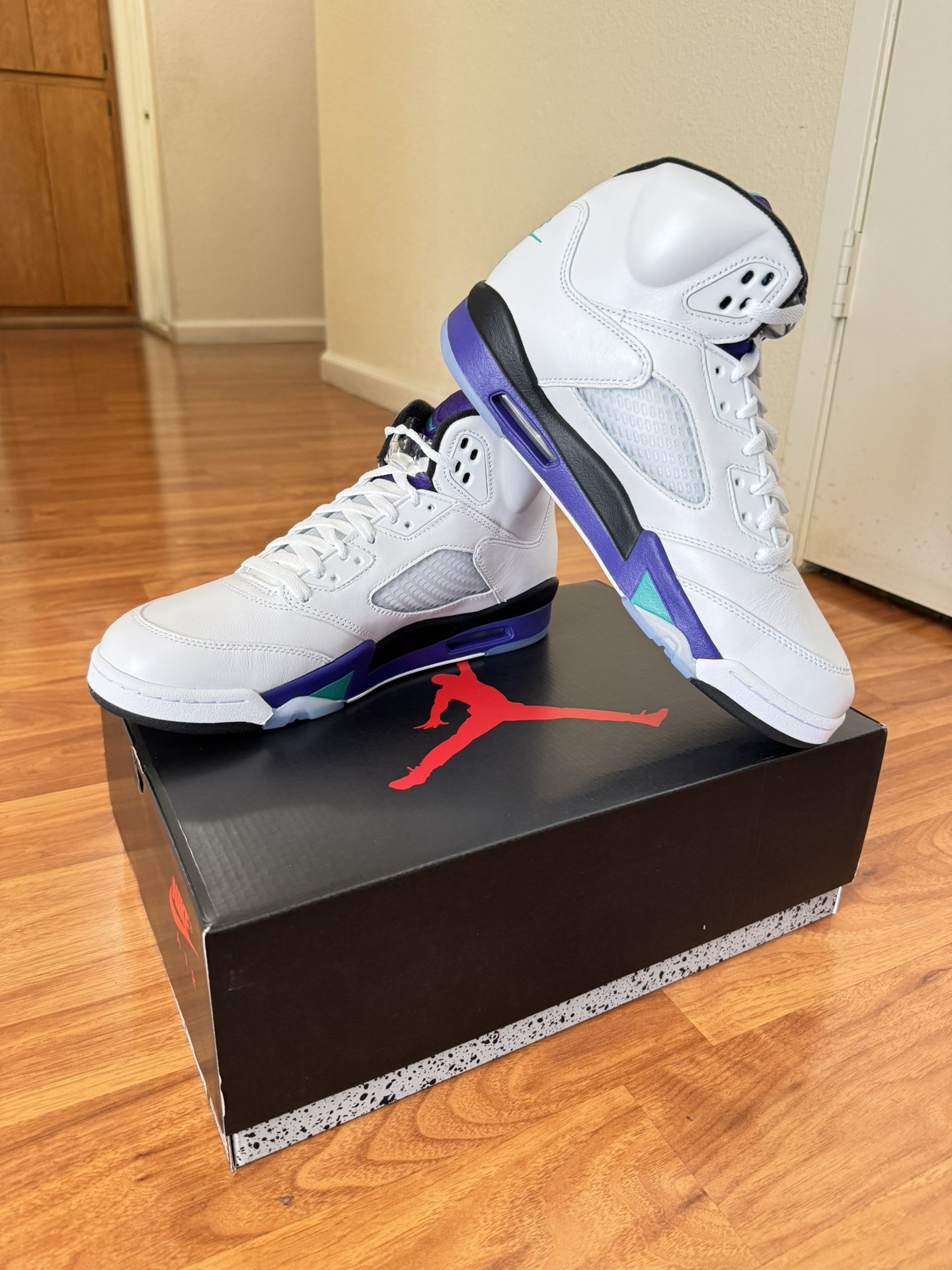 Jordan 5 Grape Retro 2025 (Size 10.5M) DS NEW