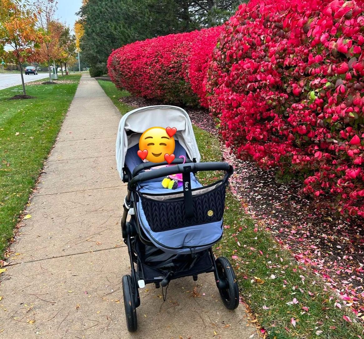 Bugaboo Fox 3