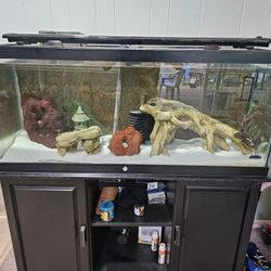 75 Gallon Aquarium 