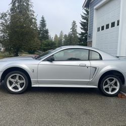 99/01 Ford Mustang SVT Cobra Parts