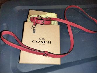 Coach Collar And Leash! Leather Excellent Used Condition$60 Firm