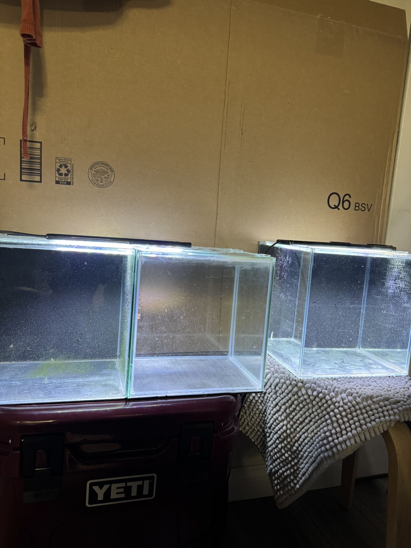 3 Gallon Aquarium 