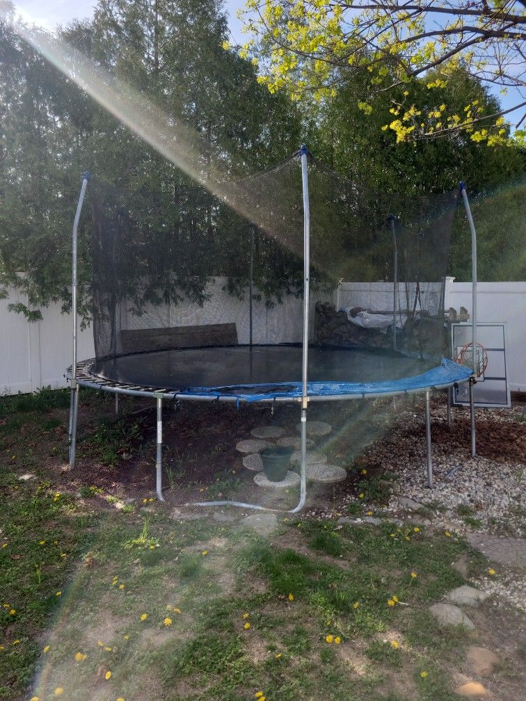 trampoline