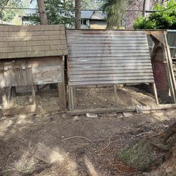 Chicken coop & run