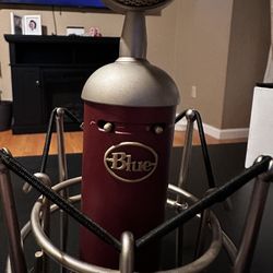 $24 Microphone w/ Stand