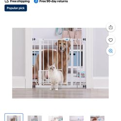 Carlson Extra Wide With Small Pet Door Gate