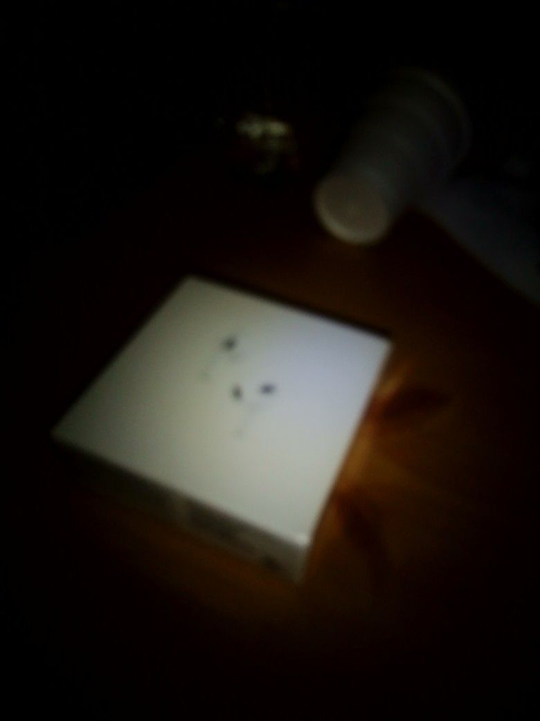 Airpods 3rd