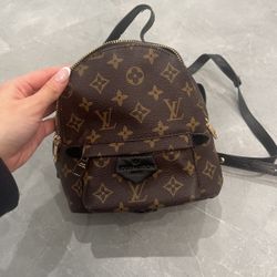 Louis Vuitton Palm Springs Mini 
