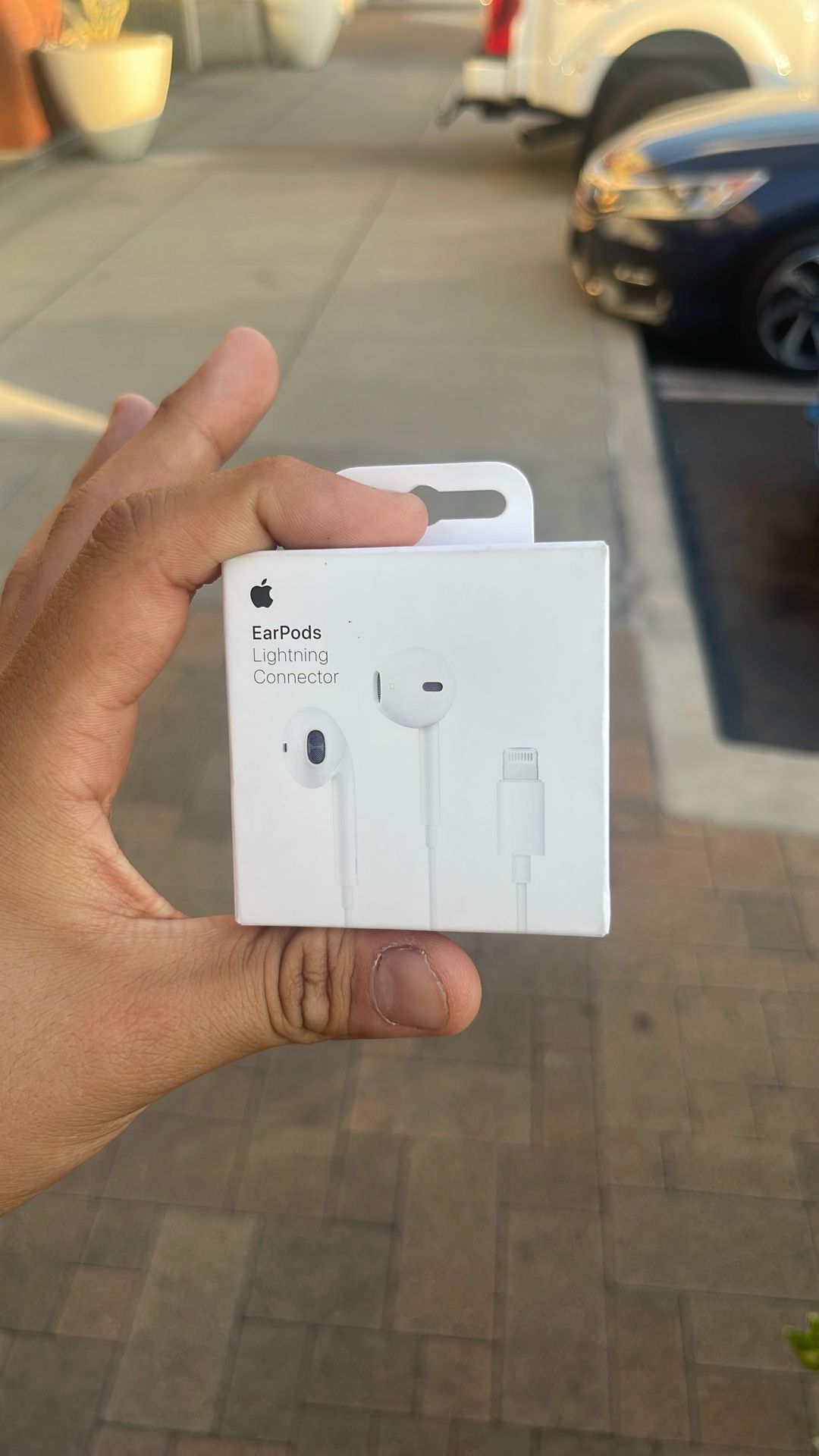 Earphones