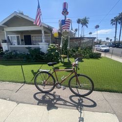 1990’s Vintage Sexy purple Specialized Rock Hopper
