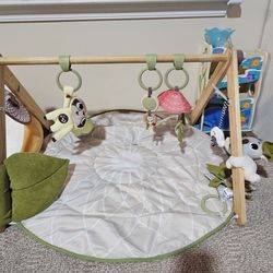 Boho Chic Luxe Tiny Love Developmental Baby Activity Gym