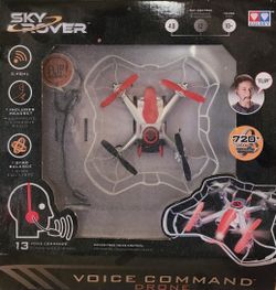 Voice Command Drone
