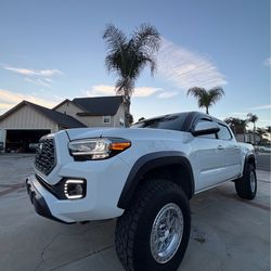 Tacoma fog light