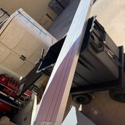 Lil Giant Scaffold Plant 