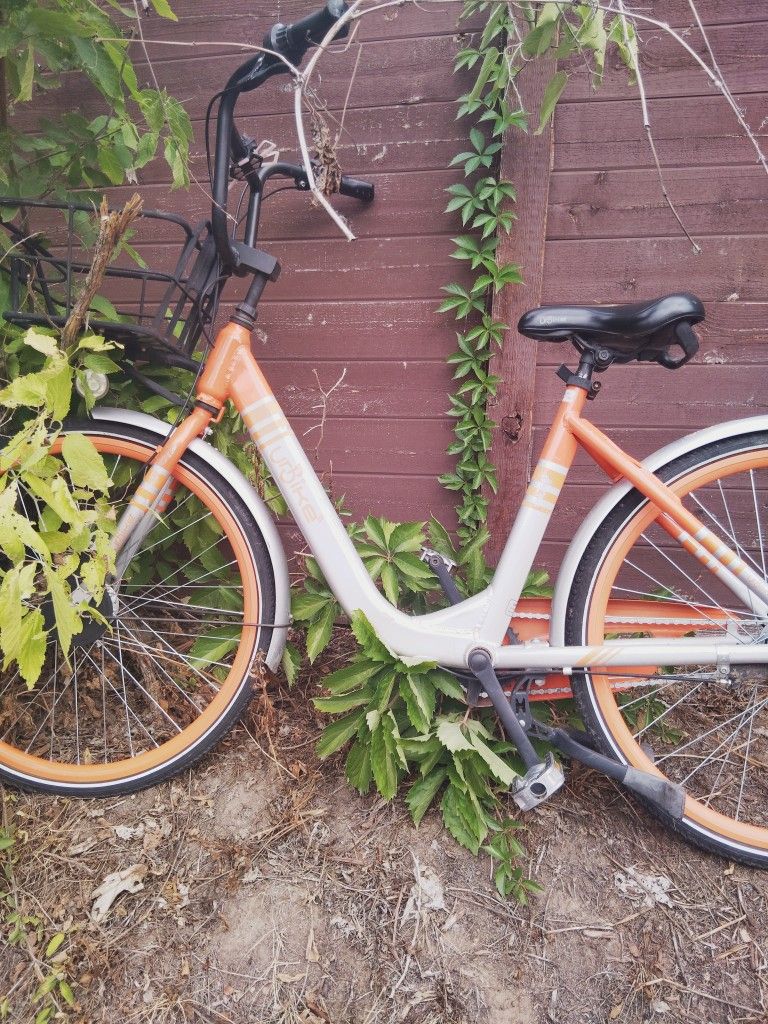 Sliver Bike