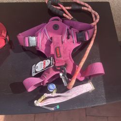 Dog Collar With Leash