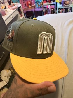 Fitted Hat 15$