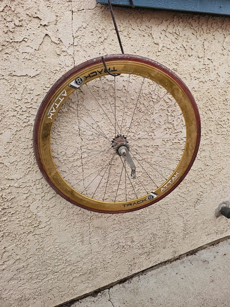 700c Rear Coaster Brake Bike Wheel