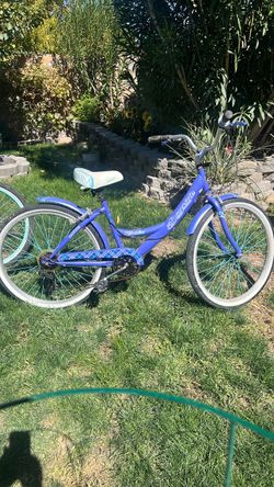 Bicycles Bicycles