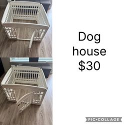 LTS dog house