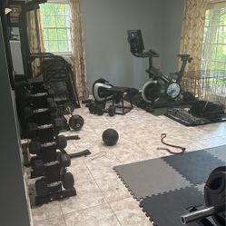 Dumbbell Tree $400