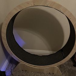Cat Exercise Wheel