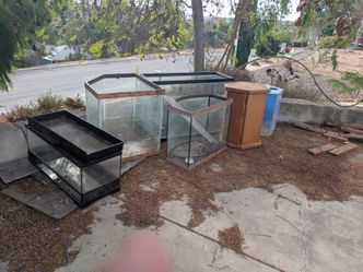 Fish tanks galore