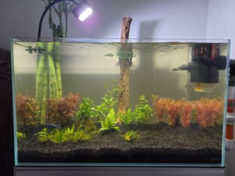 40 Gallons Glass Aquarium Rimless