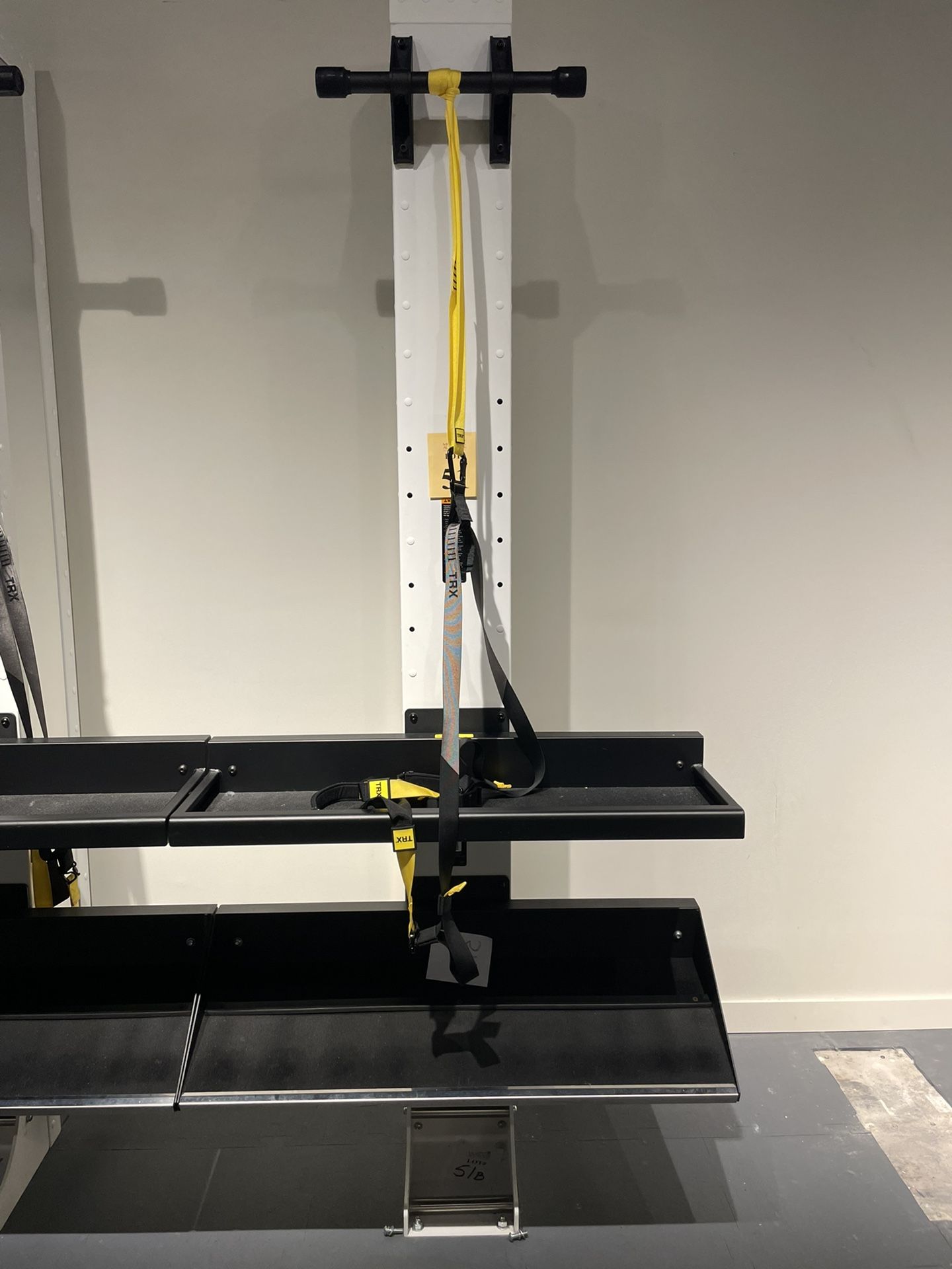 Precor Queenax Training
