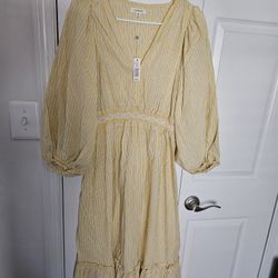 Max Studio Dress