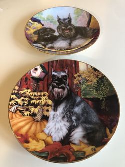 A pair of Schnauzer Collectible plates