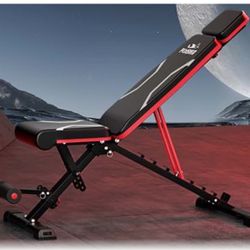 Flybird dumbbell Bench 