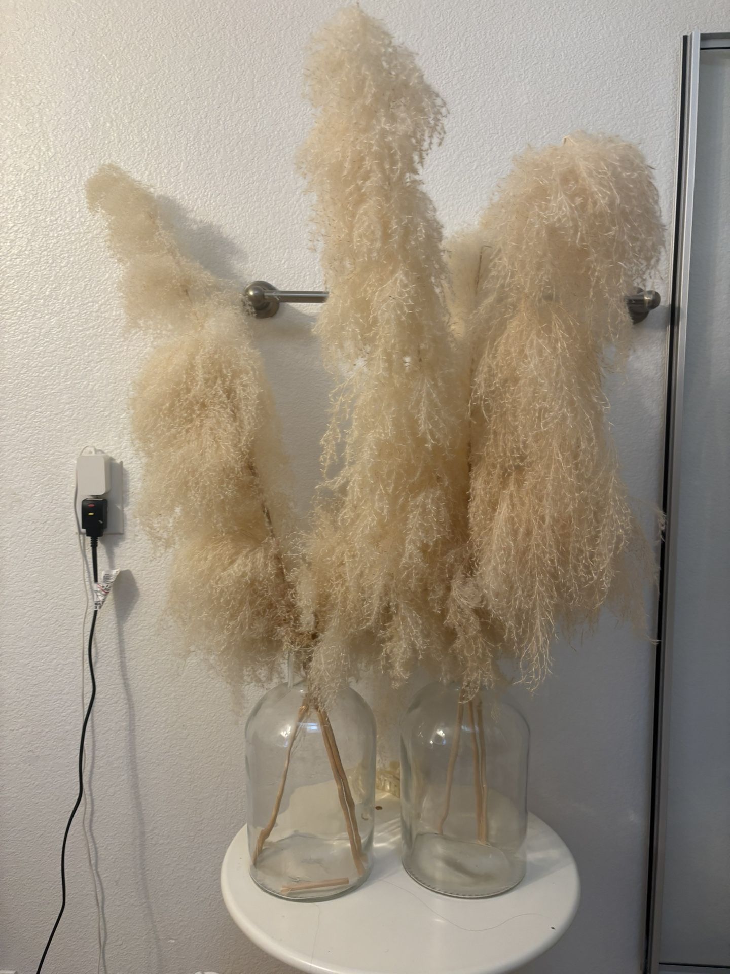 Dried Pamas Flowers With Vases