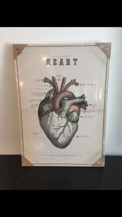Vintage Heart Diagram $25