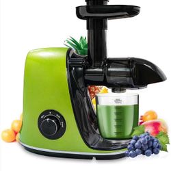 Juicer Machines, Slow Masticating Juicer Extractor Two Speed Adjustment, Easy to Clean, Quiet Motor, Cold Press Juicer for Vegetables and Fruits, BPA-