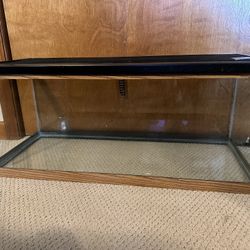 20 Gal Long