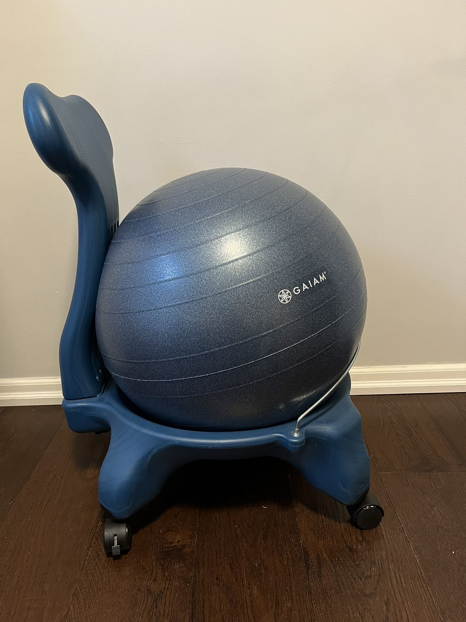 Balance Ball Chair 