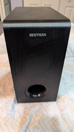 Bestisan 60 watt self powered Subwoofer