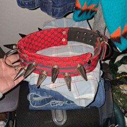 Digo color for a big dog