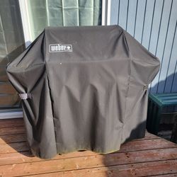 Weber Spirit Grill
