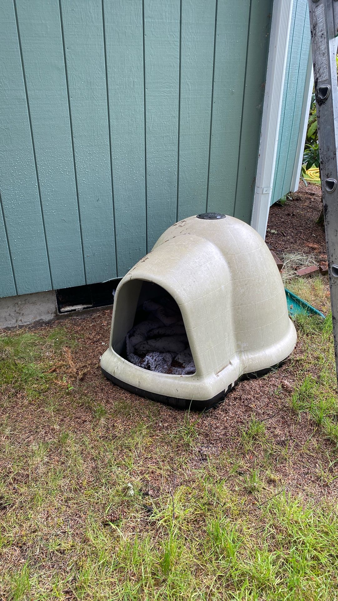 Doghouse